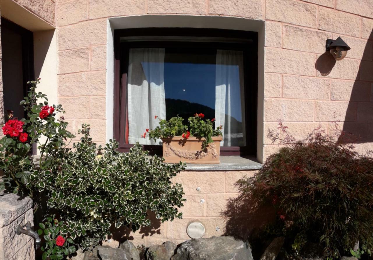 La Maison Rose Cir 0244 Holiday home